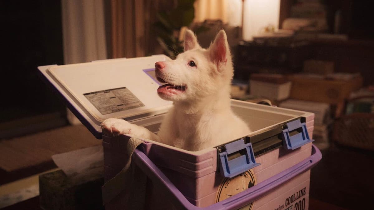 โกฮัง..หัวใจโกโฮม