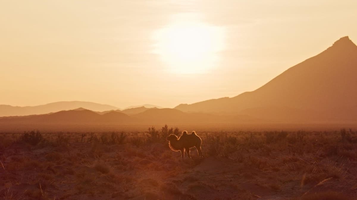 Natur i förändring