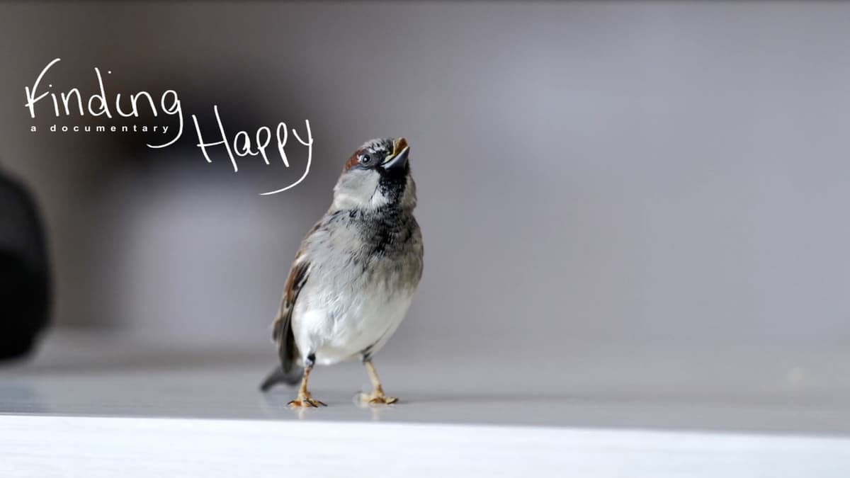 Finding Happy