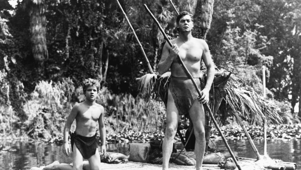 Tarzan och amazonerna