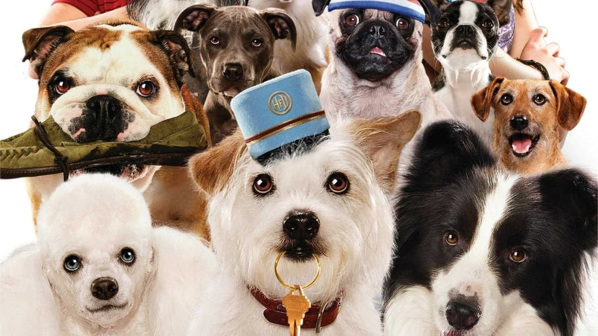 Hundpensionatet