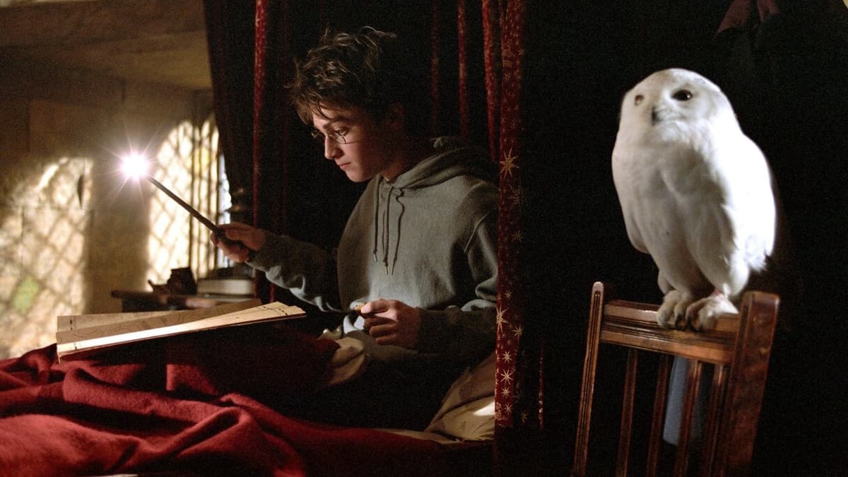 Harry Potter och fången från Azkaban