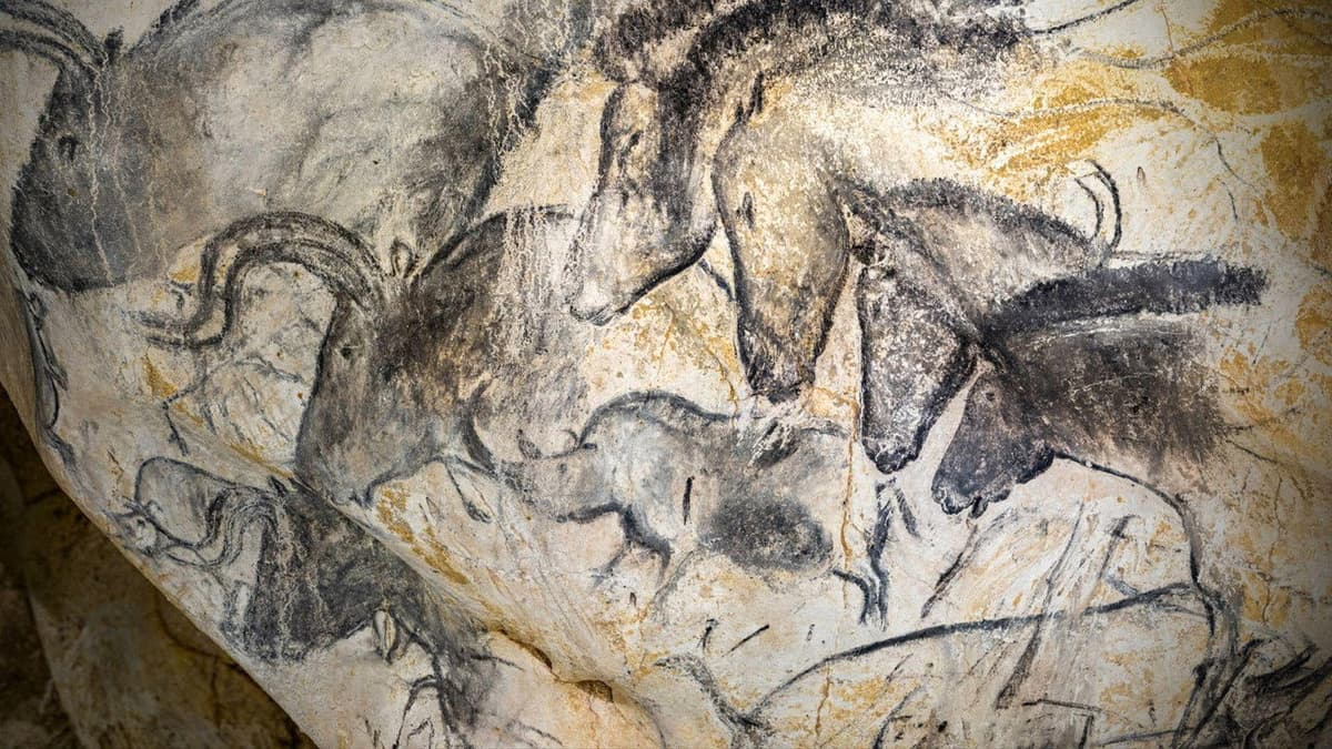 Grotte Chauvet - Dans les pas des artistes de la Préhistoire