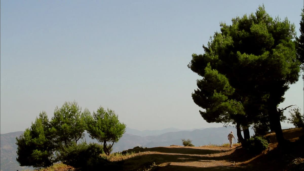 Daniel Ali, instituteur révolté dans l'Algérie coloniale