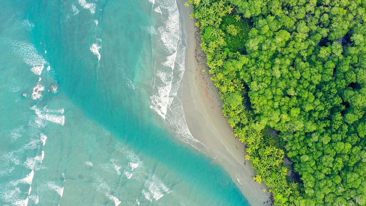 Costa Rica : Le réveil de la nature