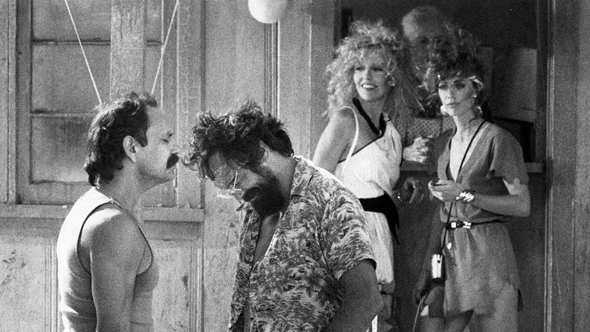 Cheech & Chong - knas i kvadrat