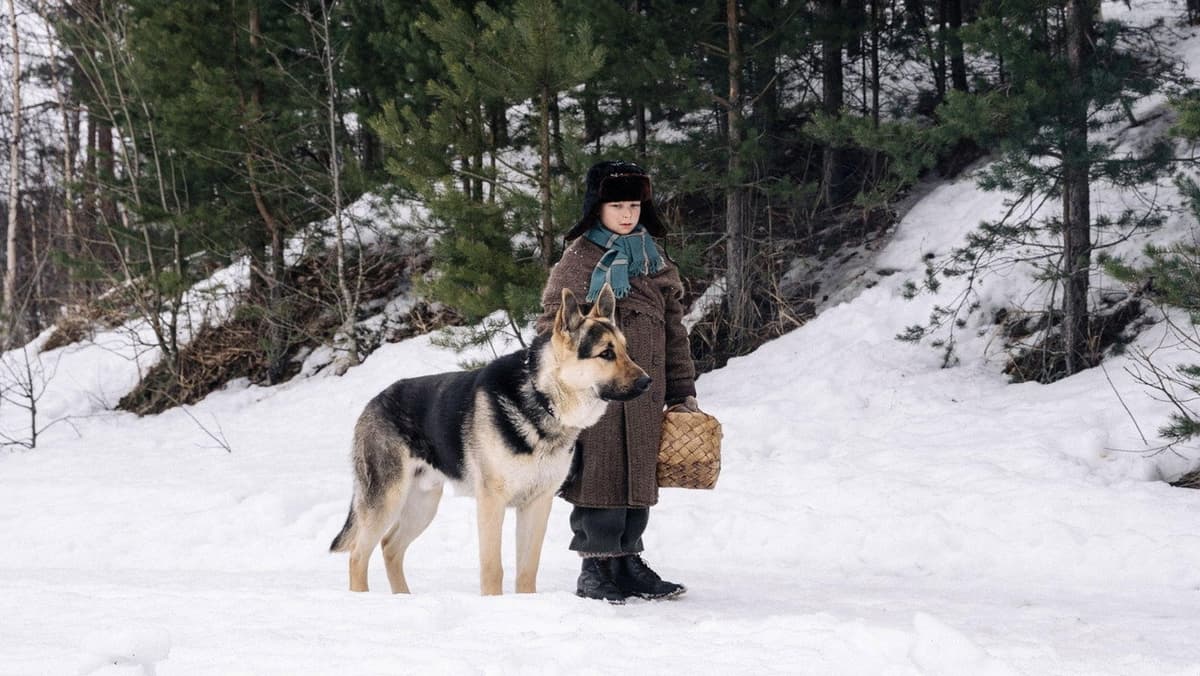 Трезорка