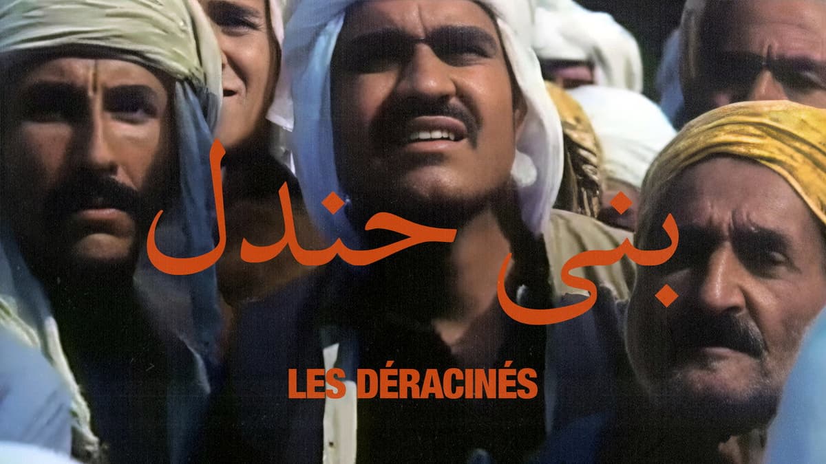 Les Déracinés
