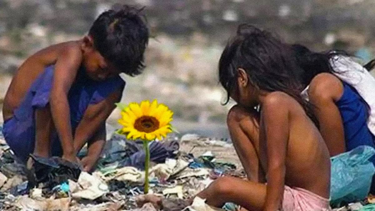 Ilha das Flores