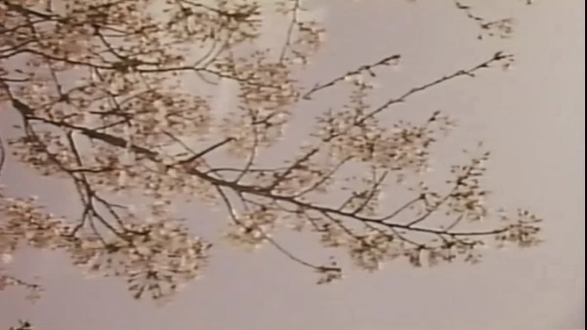 若奥様　太股びらき