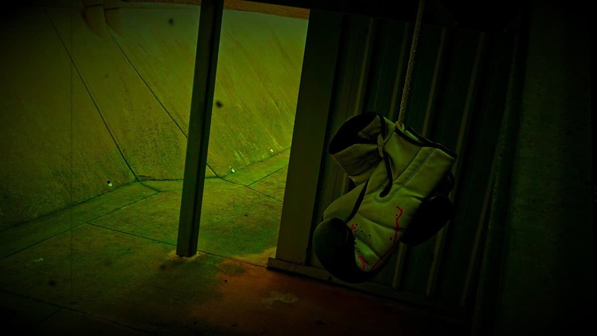 Trapped In Sight