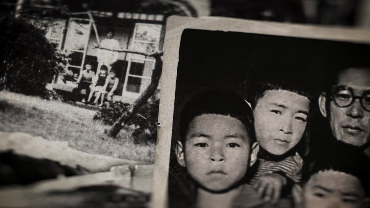 Miyazaki – mästaren från Studio Ghibli