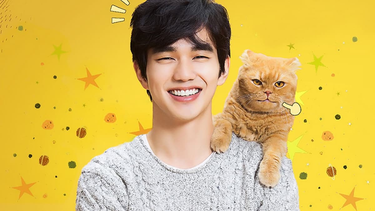 상상고양이