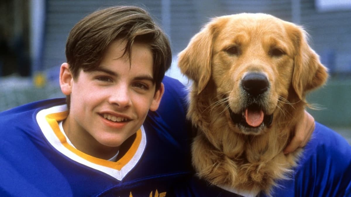 Air Bud räddar spelet