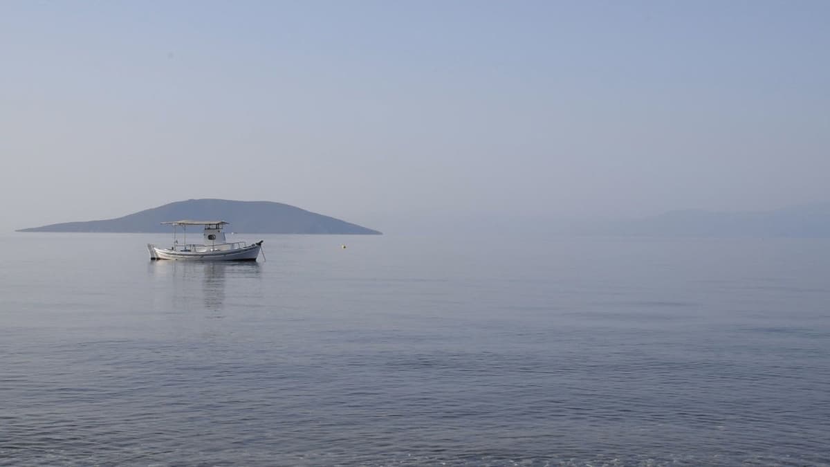 84 Μέρες Καλοκαιριού