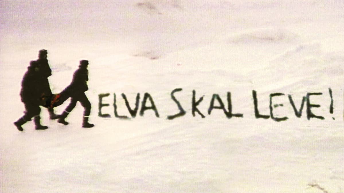 Vendepunktet - miljøkampen som ble en urfolksak