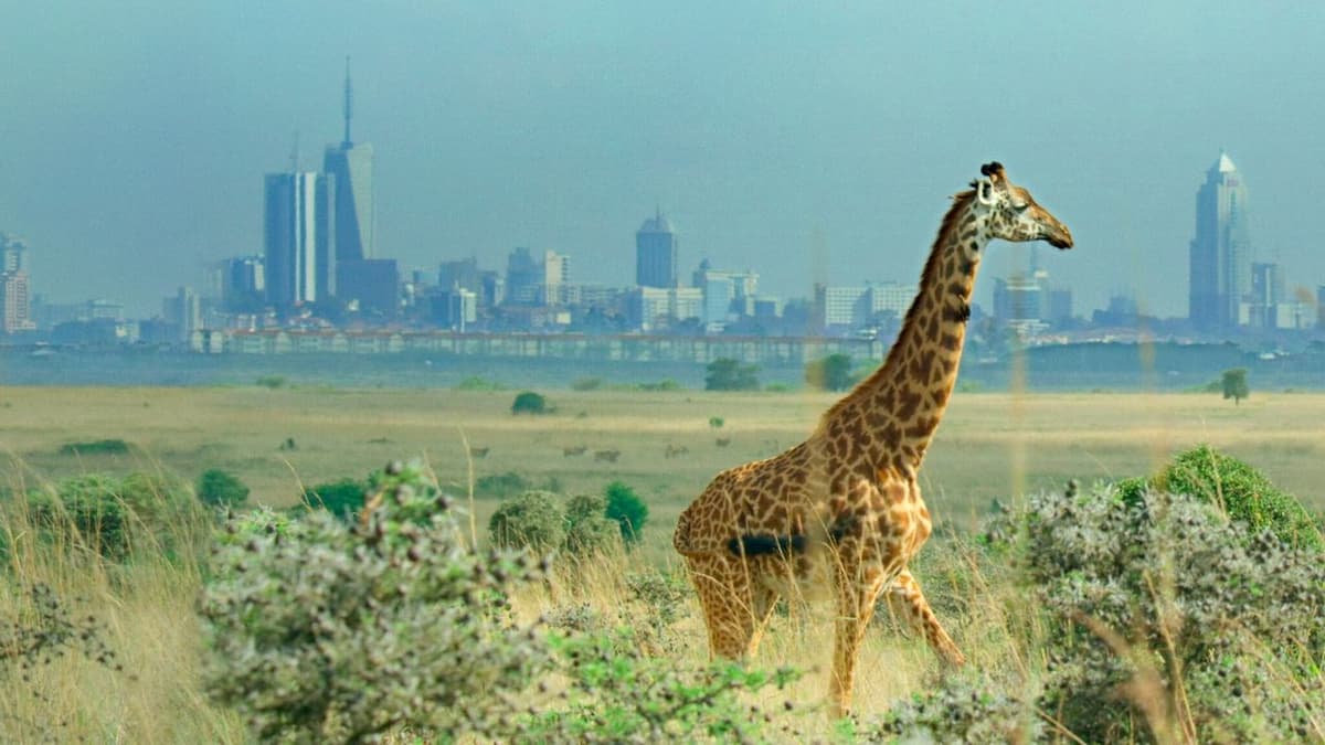 Breaking Boundaries: The Science Of Our Planet