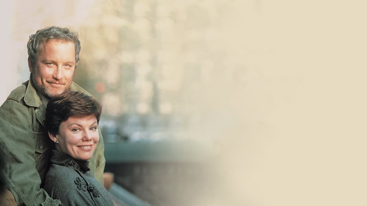 Sa jag adjö när jag kom?