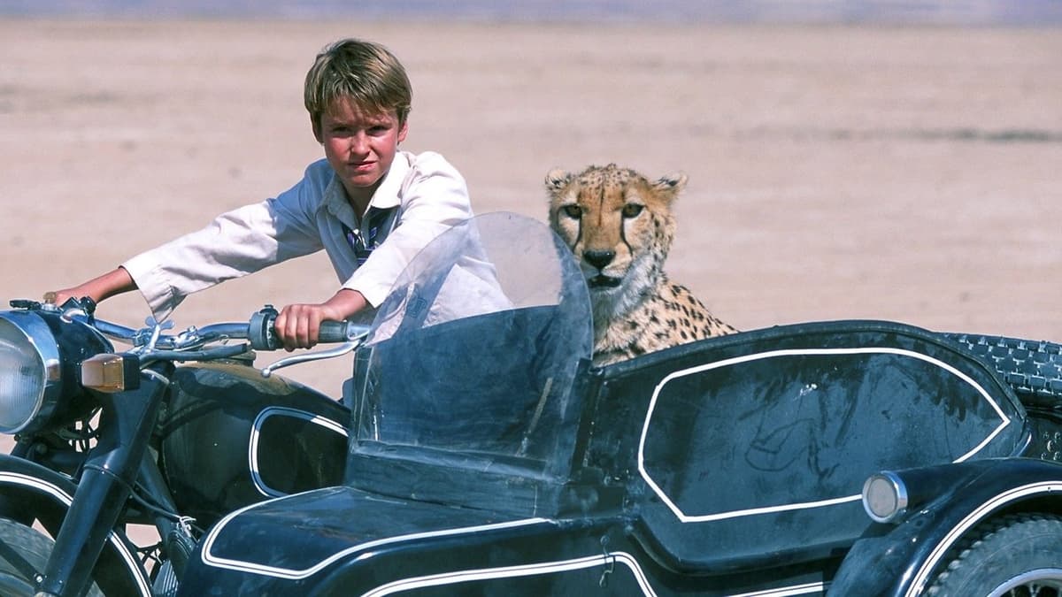 Duma: En ovanligt stark vänskap i det vilda