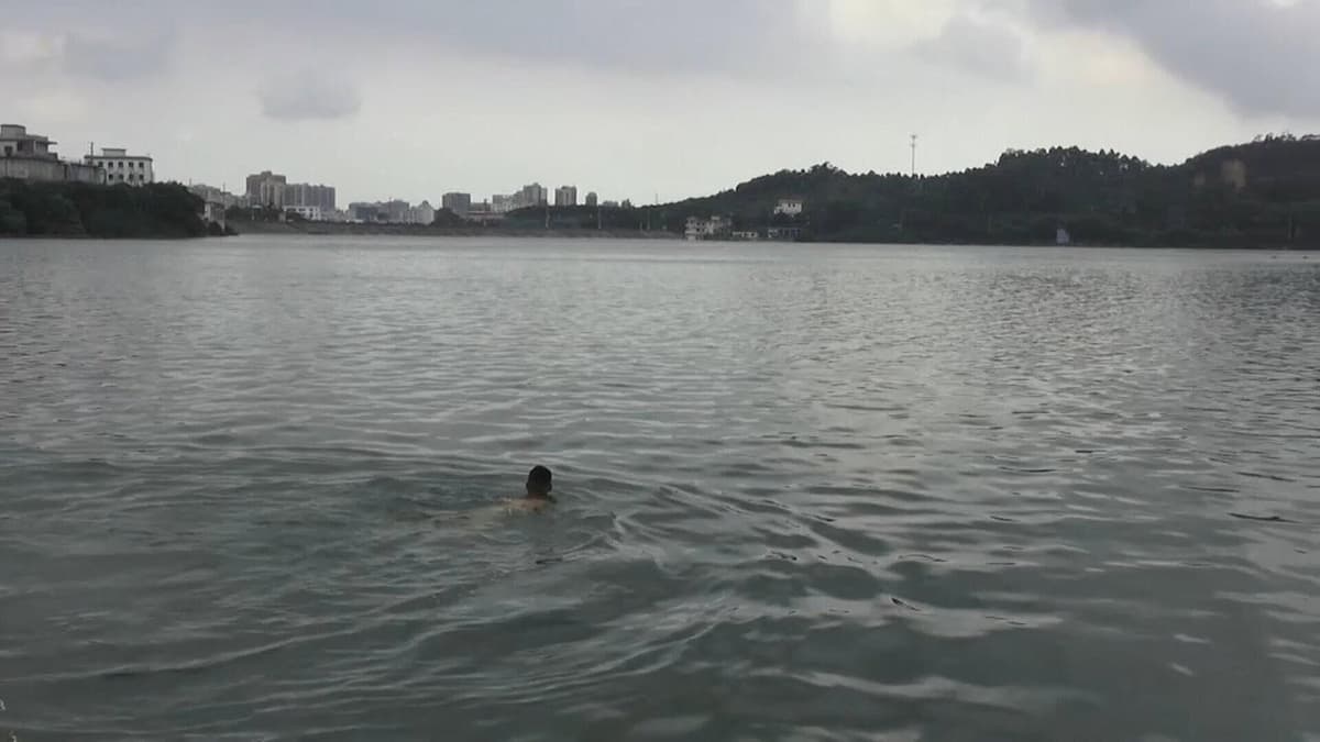 卤煮