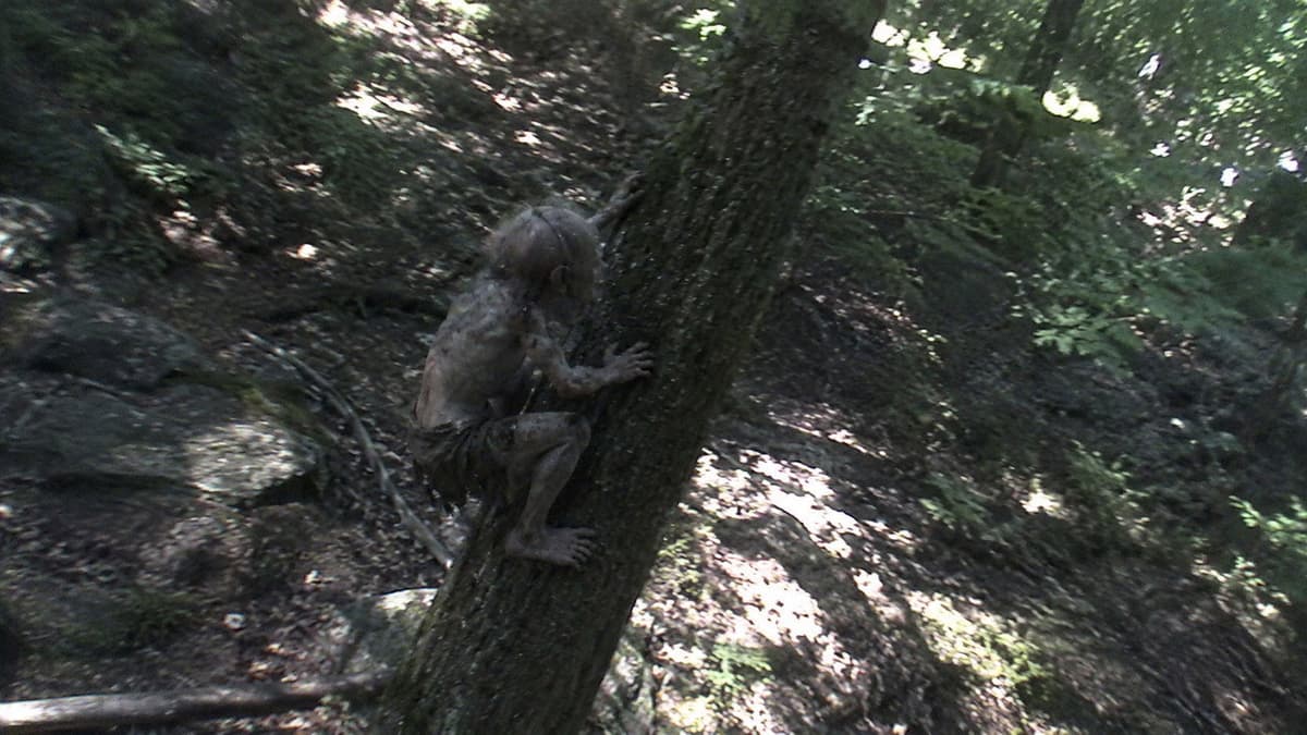 The Lord of The Rings: The Dread Of The Monster