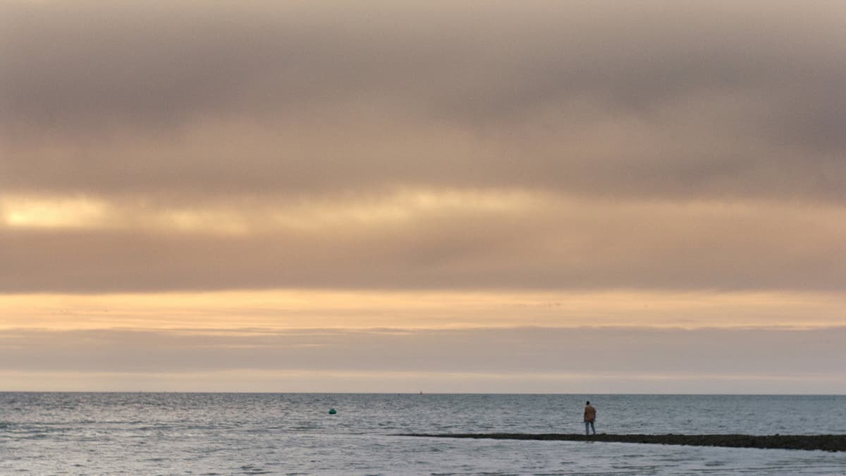 Sharks in Colwyn Bay
