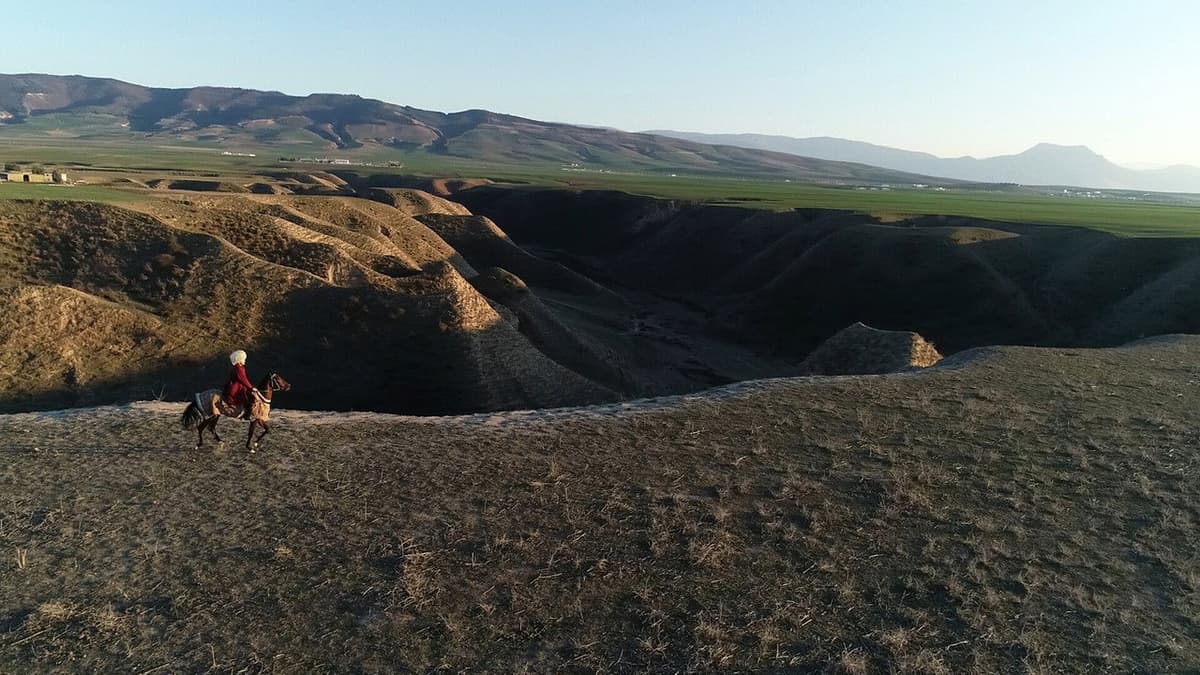 BASHLA