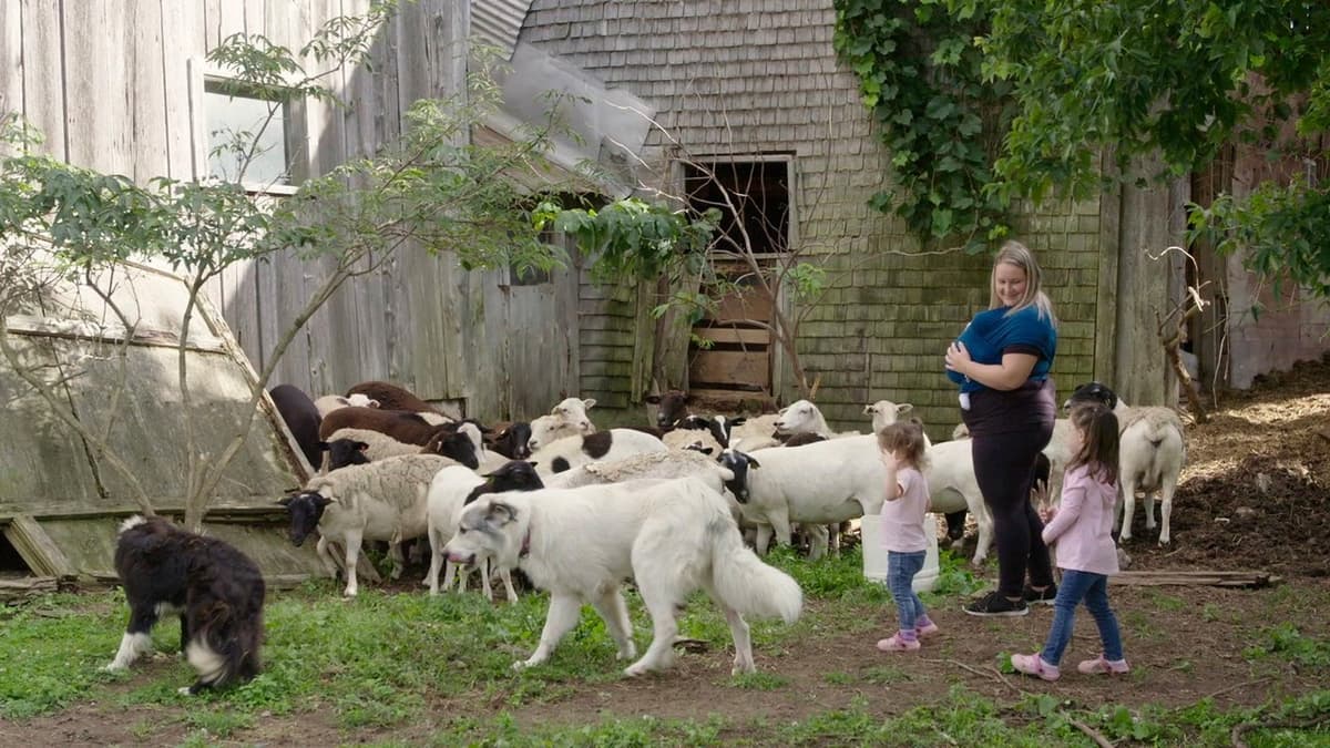 La famille est dans le pré