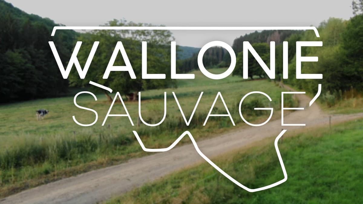 Wallonie sauvage