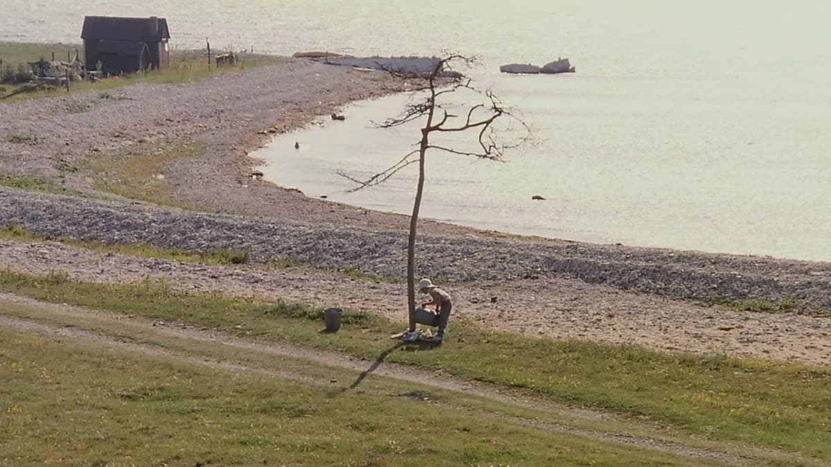 Andrej Tarkovskij: ACQUA