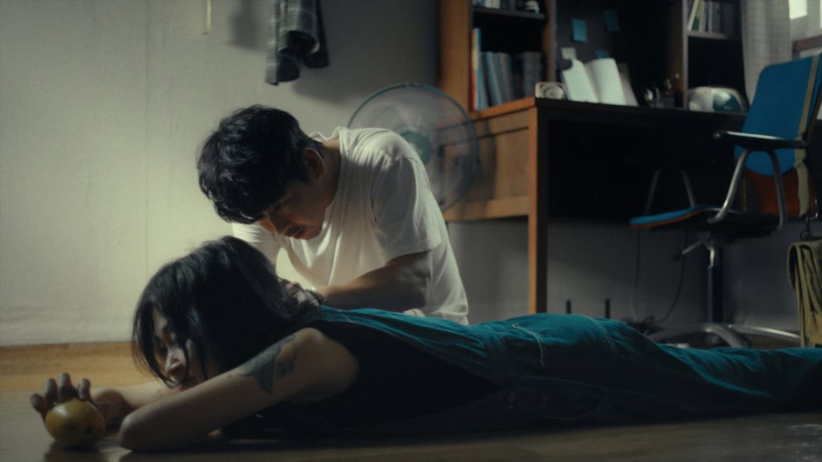 모과