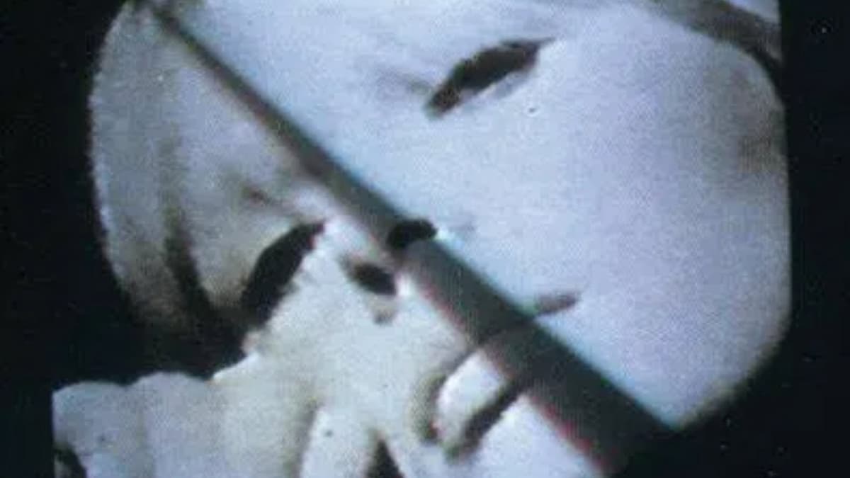 Nico: In Memoriam
