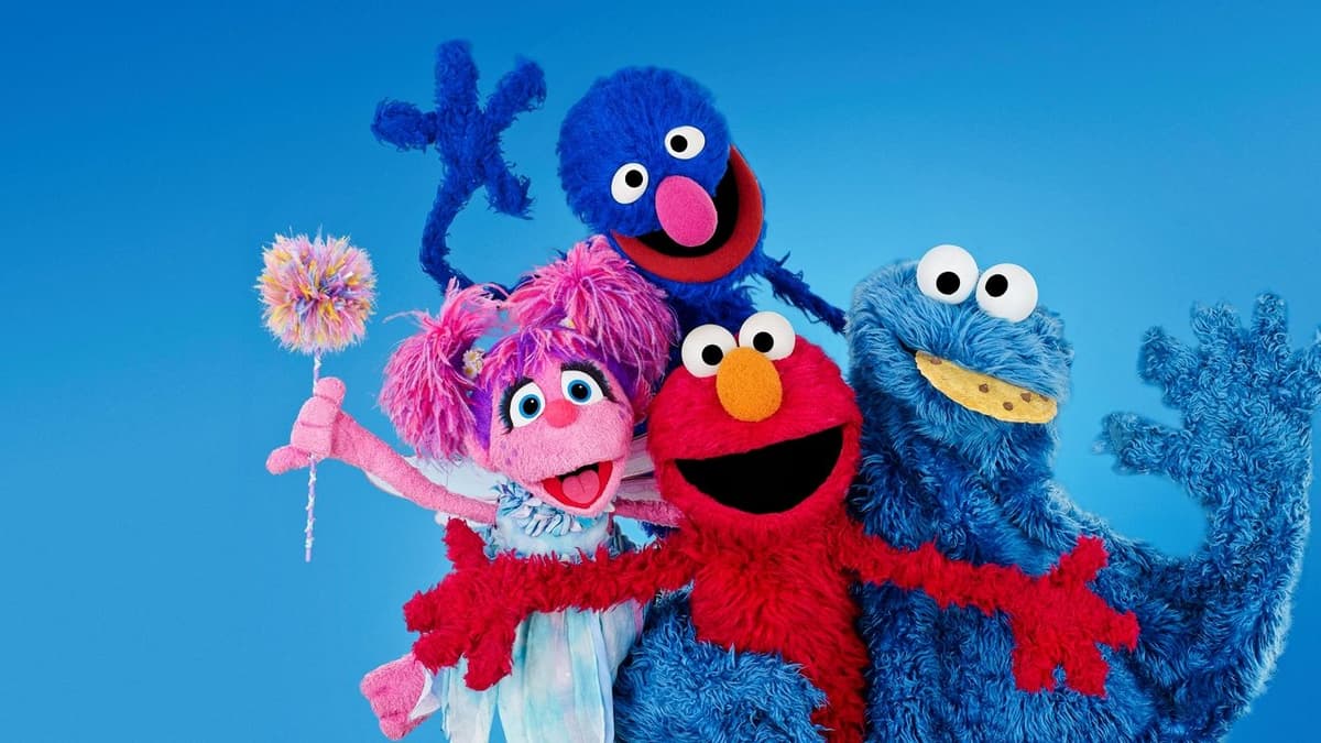 My Sesame Street Friends