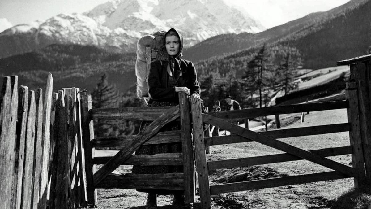 Mitt öde har vingar