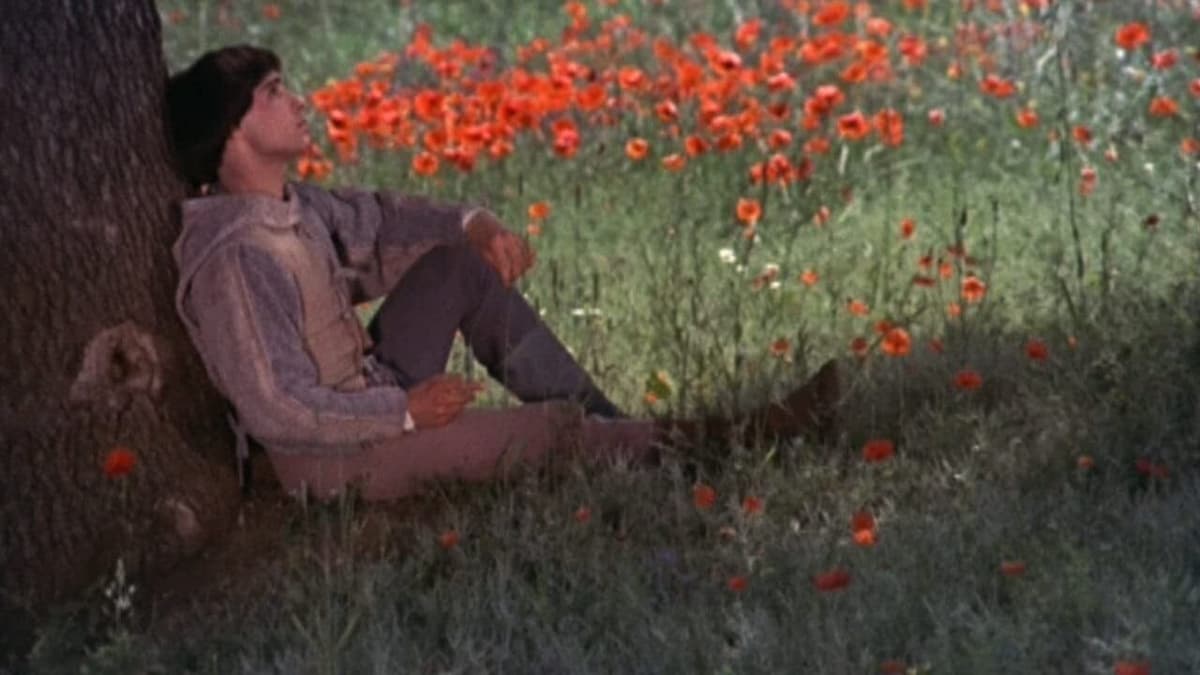 Broder sol och syster måne