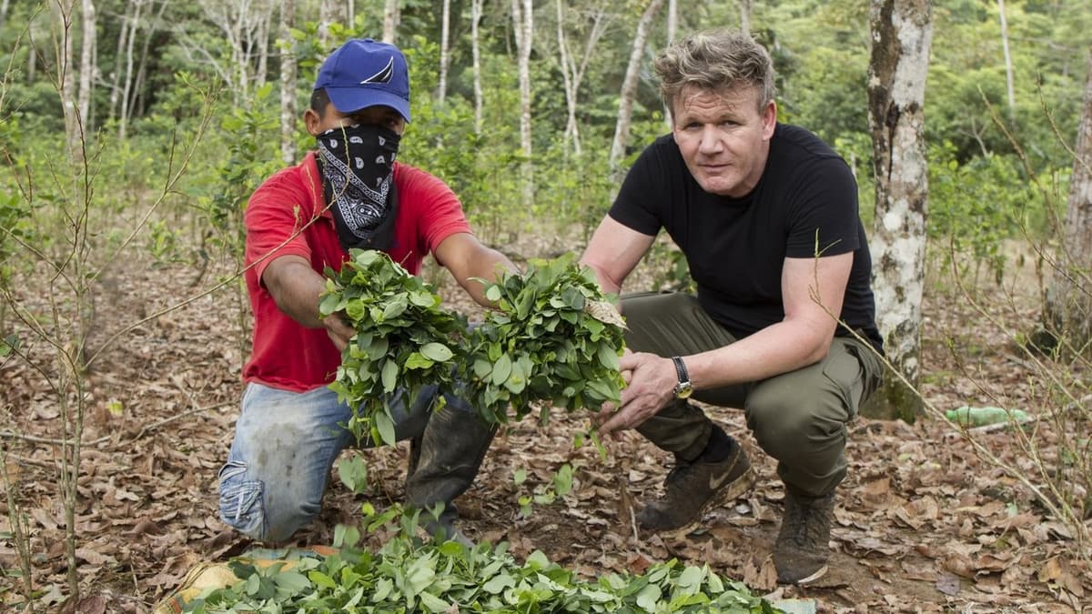 Gordon Ramsay on Cocaine