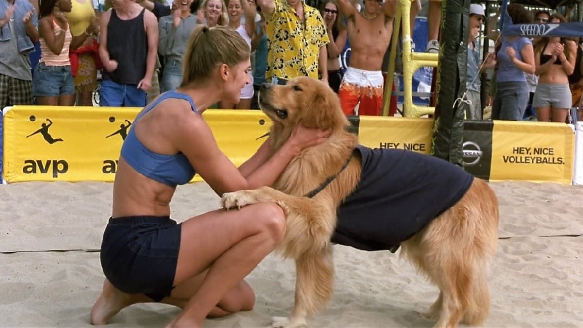 Air Bud slår tillbaka