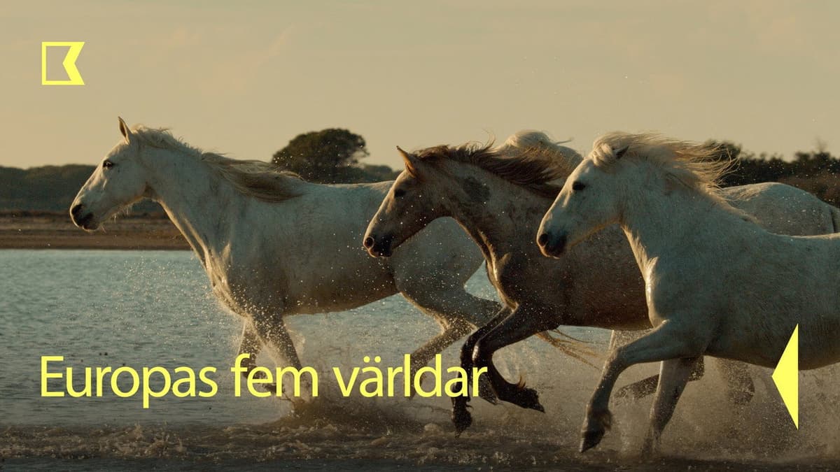 Europas fem världar