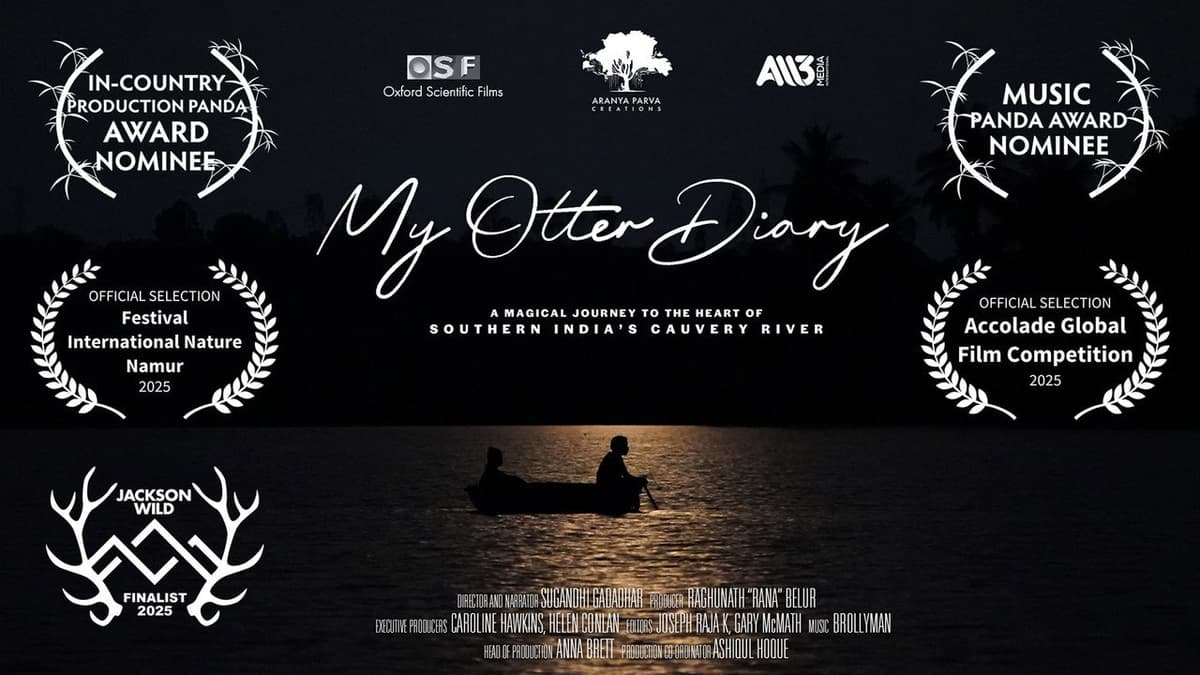 My Otter Diary