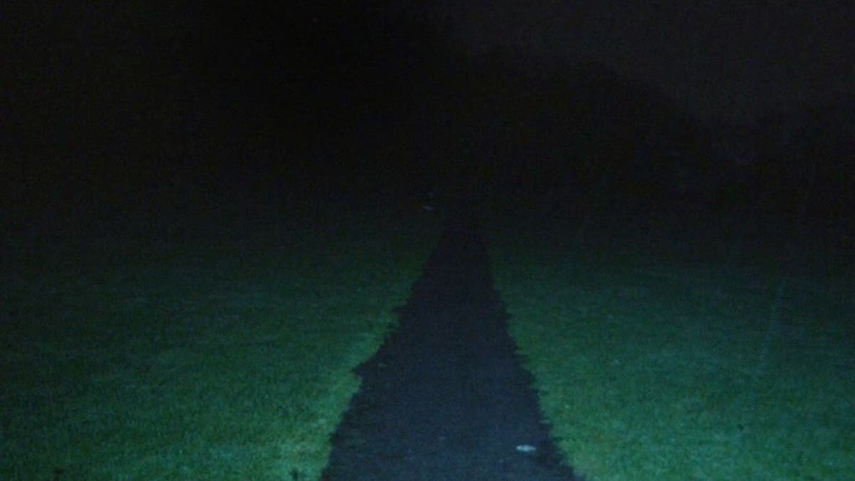 LEASH
