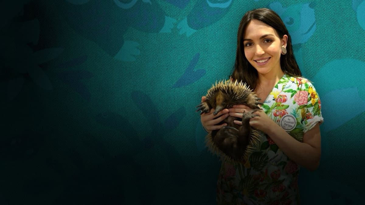 Veterinärer för bisarra husdjur