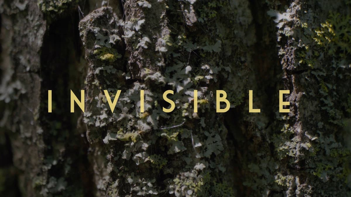 Invisible - Revealing Hidden Disabilities
