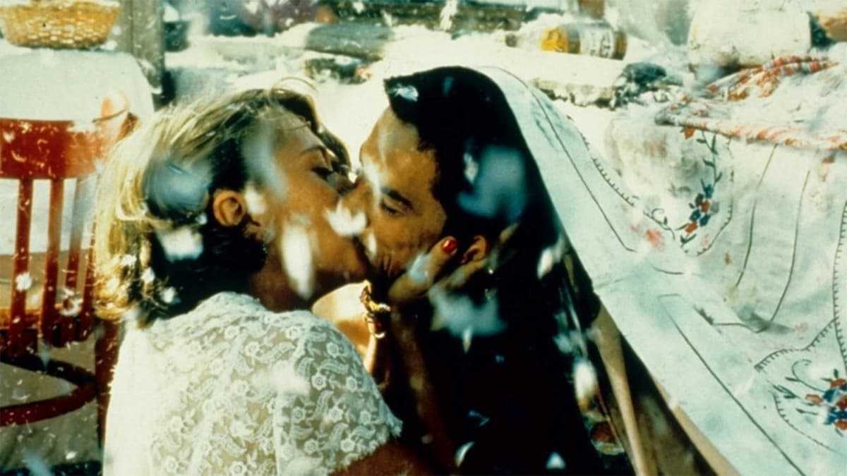 Svart katt, vit katt