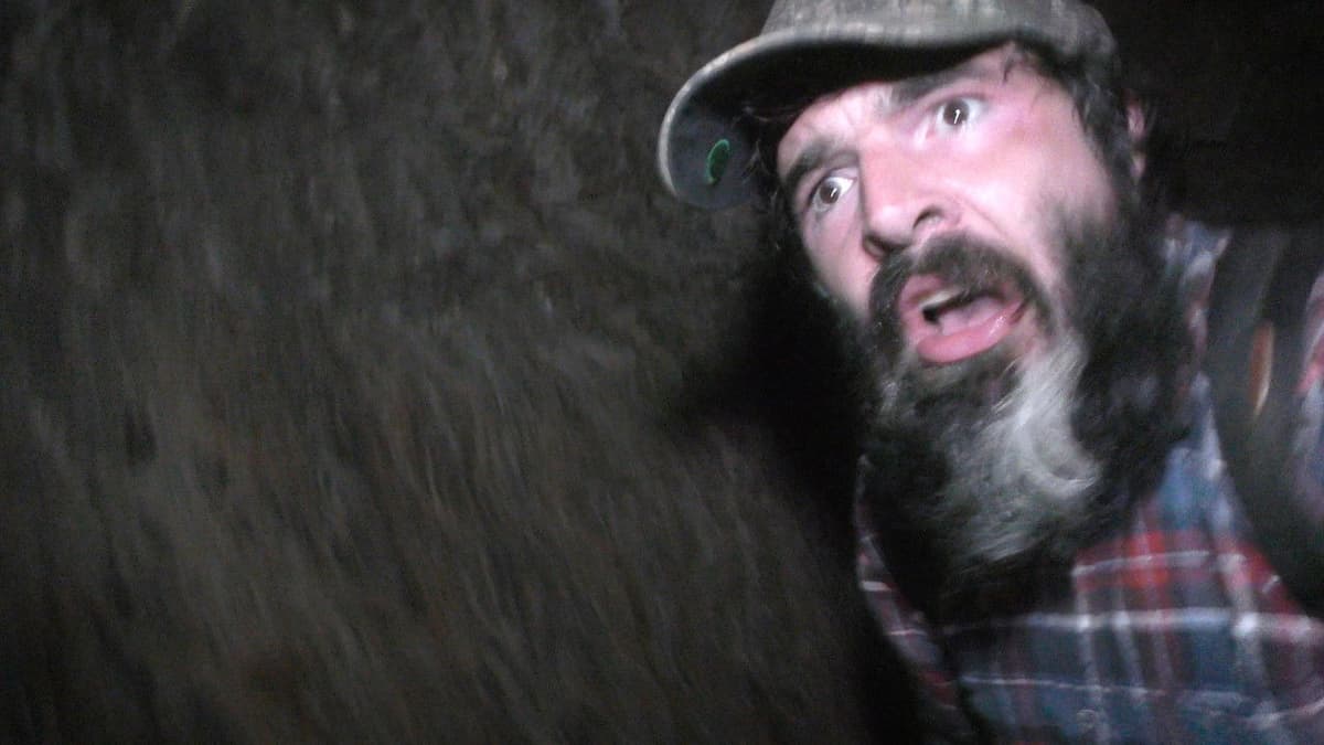 Wilderness Tapes: Volume One