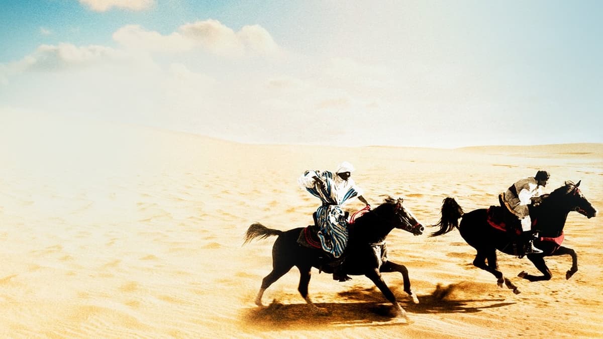 Svarta hingsten kommer tillbaka