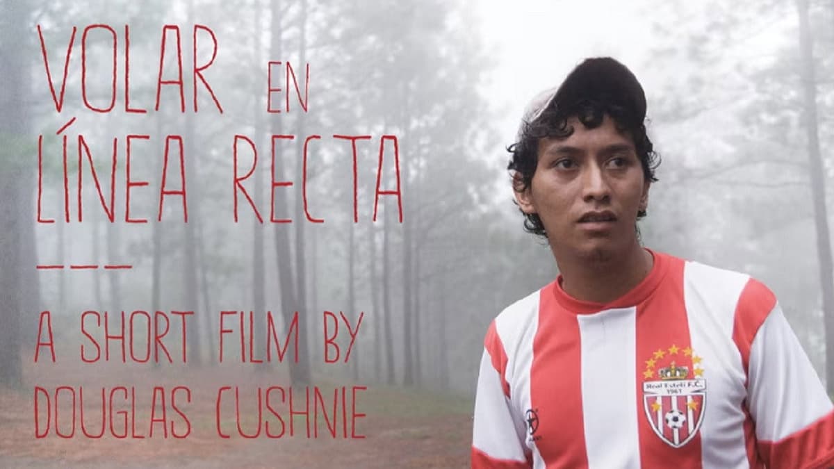 Volar en línea recta