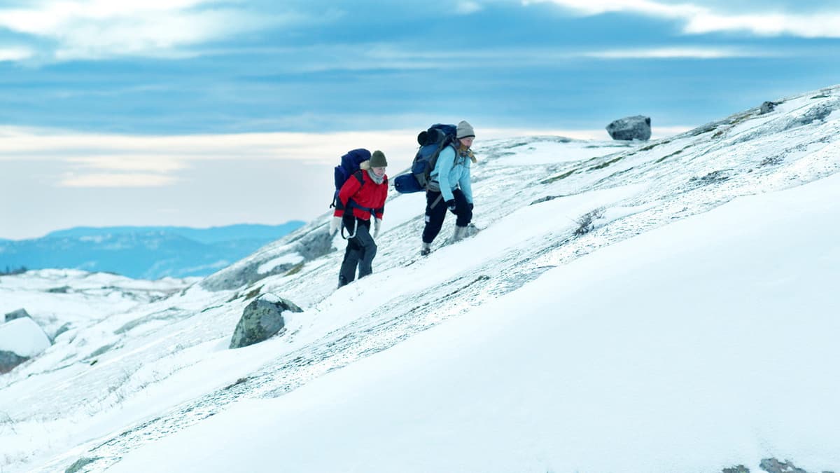 Fjellet