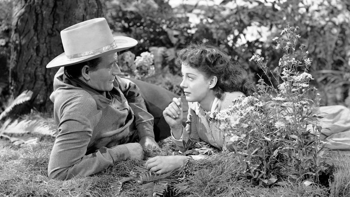 Ängeln och den laglöse