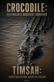Crocodile - Australia's Greatest Survivor