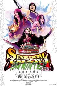 newgin group Presents STARDOM NAGOYA BIG WINTER 2023～風雲名古屋城～